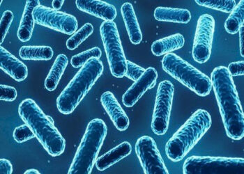 إكتشاف مُرعب.. بكتيريا جديدة قادرة على محو البشرية جمعاء!