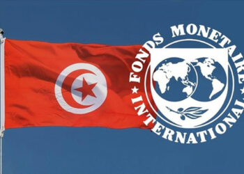 معز السوسي: ”تونس ضمن القائمة السوداء لصندوق النقد الدولي..”