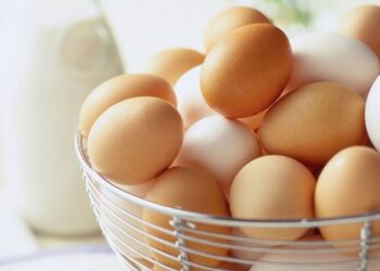 تحذير من بيض رخيص قد يحمل فيروس أنفلونزا الطيور..