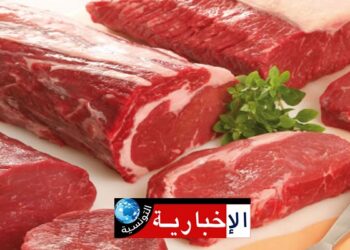 (قبل عيد الاضحى)-وزارة التجارة تعلن إستيراد كميات من لحوم الضأن من أوروبا …