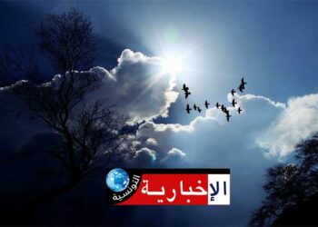 الوضع الجوي لهذه الليلة..