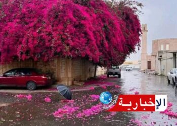 هكذا سيكون طقس اليوم..