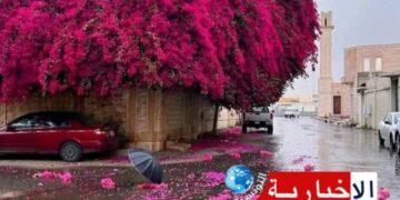 هكذا سيكون طقس اليوم..