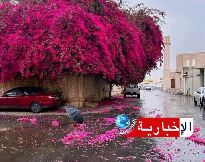 هكذا سيكون طقس اليوم..