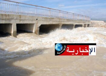 هذه نسبة امتلاء السدود والوضعية المائية أفضل من العام الفارط..