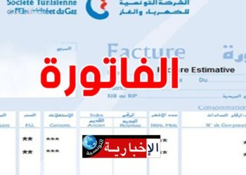 (مسؤولة بالستاغ )- فاتورة الكهرباء مدعمة بنسبة 60 بالمئة..