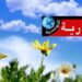 هكذا سيكون طقس اليوم الجمعة..