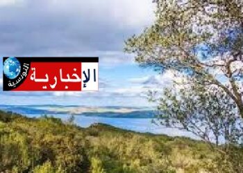 (لمن يهمّه الأمر)- هكذا سيكون طقس ”الويكاند”..