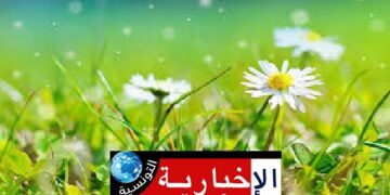 هكذا سيكون طقس اليوم..