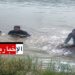 (فظيع)- غرق شخص ببحيرة جبلية بجهة حمام بورقيبة..
