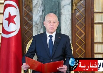 رئيس الدولة يعين سفراء وقناصل جدد لتونس..