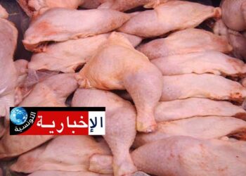 (إرتفاع أسعار اللحوم البيضاء)- غرفة تجّار لحوم الدواجن تكشف..