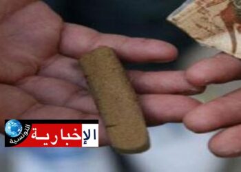 (صفاقس)-هذه تفاصيل تفكيك عصابة لترويج المخدرات وغسيل الأموال وحجز 50 صفيحة من الزطلة..