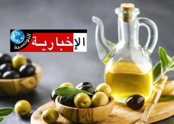 وزير الفلاحة: ‘هدفنا إنتاج مليون طن من زيت الزيتون’..