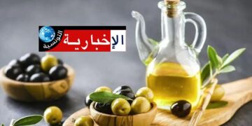 وزير الفلاحة: ‘هدفنا إنتاج مليون طن من زيت الزيتون’..