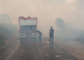 أريانة: السيطرة على حريقين بغابة جبل النحلي