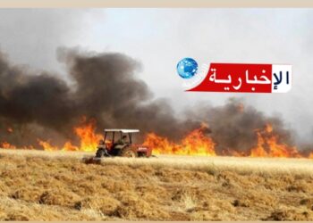مدير الحماية المدنية بباجة: 61 هكتارا من الحبوب التهمتها النيران
