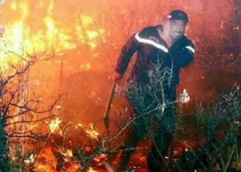 نشوب حريقين بنفزة وباجة الشمالية وحالة تأهب بداية من اليوم..