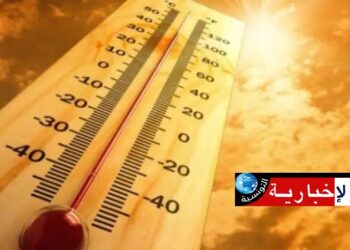 هذه أهم الإجراءات الوقائيّة لمجابهة ارتفاع درجات الحرارة..