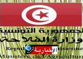 تحسّبا لإمكانية نزول أمطار..وزارة الفلاحة تدعو الى حماية مخزون الحبوب المجمّعة..