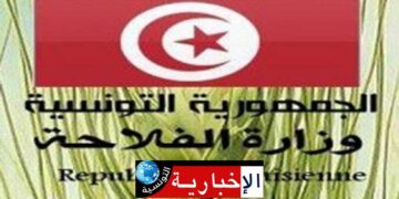 تحسّبا لإمكانية نزول أمطار..وزارة الفلاحة تدعو الى حماية مخزون الحبوب المجمّعة..