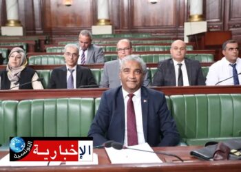 وزير الرياضة: شركة إيطالية تعهدت بانجاز 100 ملعب..