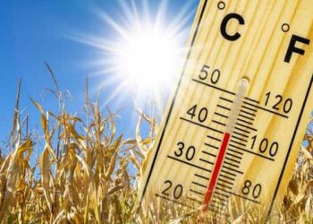 هكذا سيكون طقس اليوم…