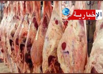 تعيين متصرف جديد لشركة اللحوم..