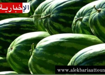 (فديوات “الدلاع والبطيخ”)-هيئة السلامة الصحية تتّخذ هذا الاجراء