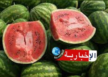 (بعد الضجة الكبيرة)- نقابة الفلاحين تحسمها بخصوص “الدّلاع”..