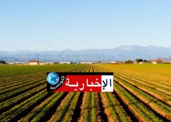 استرجاع ضيعة دولية فلاحية بمساحة 903 هك في هذه الولاية..