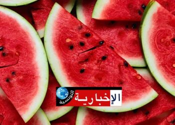 (حالات تسمّم من استهلاك الدّلاّع)-هيئة السلامة الصحية للمنتجات الغذائية تُوضّح وتكشف..