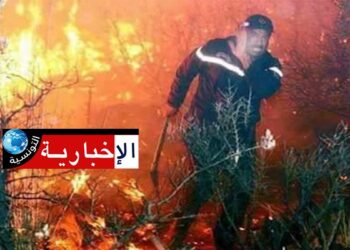 (سليانة)- حريق يأتي على 5 هكتارات حصيدة و300 حزمة تبن في حمام بياضة..