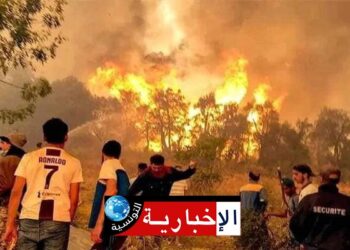 إندلاع 5 حرائق خلال 12 ساعة بهذه الولاية..