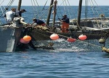 (المنستير)- حريق يلتهم مركب صيد على متنه 17 بحّارا في عرض البحر