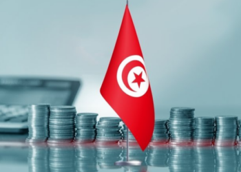 خبير اقتصادي يكشف هذا ما تحتاج إليه الشركات الأهلية..