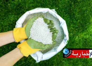 اتحاد الفلاحة يطالب بالإسراع في توفير الأسمدة الكيميائية بهذه الولاية..