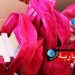 العودة المدرسية: توفير 20 مليون كراس مدعم