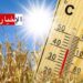 (بداية من الغد)- تسجيل انخفاض في درجات الحرارة