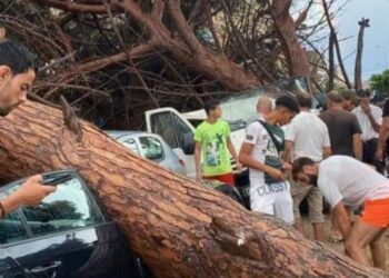 أمطار وعاصفة رعدية تضرب الحمامات ونابل..