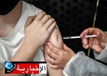 معهد باستور يقدم 240 جرعة تلقيح ضد داء الكلب يوميا..