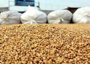 وصول باخرة محمّلة بـ27500 طن من القمح الصلب