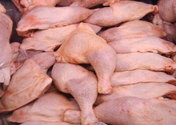 بداية من اليوم: اعتماد هذه الأسعار لبيع لحوم الدواجن