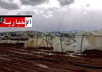 أمطار اليوم: اضرار فلاحية تطال البيوت المكيفة ومزارع الطماطم بهذه الجهة