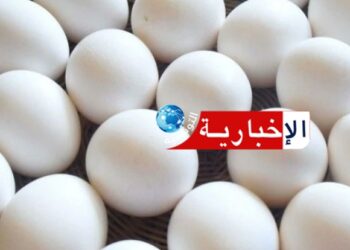 (لتأمين مخزون البيض لرمضان)-وزير الفلاحة يدعو لاتخاذ هذه الاجراءات..