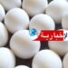 (لتأمين مخزون البيض لرمضان)-وزير الفلاحة يدعو لاتخاذ هذه الاجراءات..