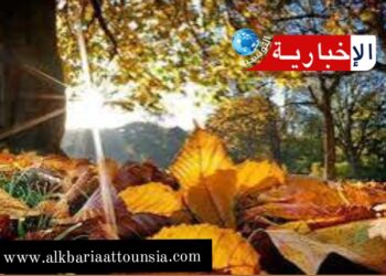 هكذا سيكون طقس اليوم..