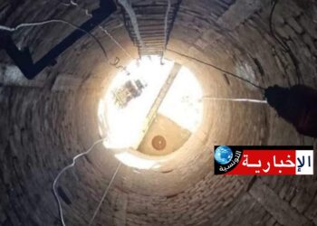 (بوسالم)-انقاذ بقرة سقطت في بئر عمقه 17 متر..