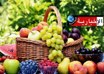 ارتفاع كبير في أسعار الغلال الصيفية..