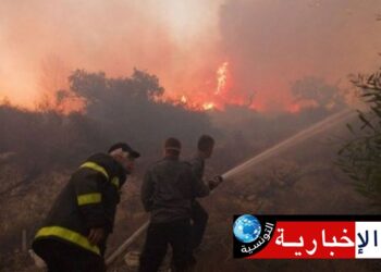 اخماد حريق بمساحة 05 هكتارات حصيدة و 16 شجرة زيتون..